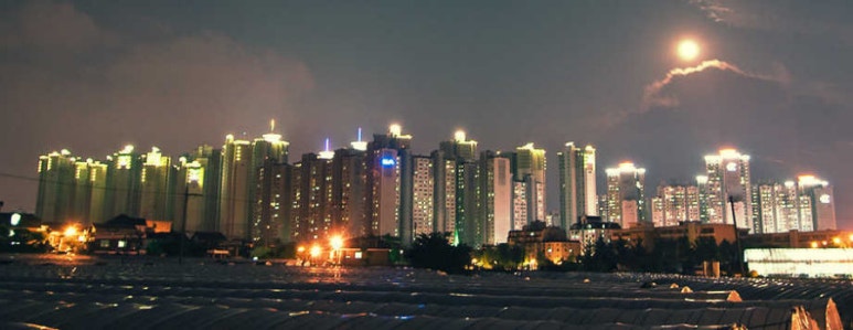 뽕밭2 이미지