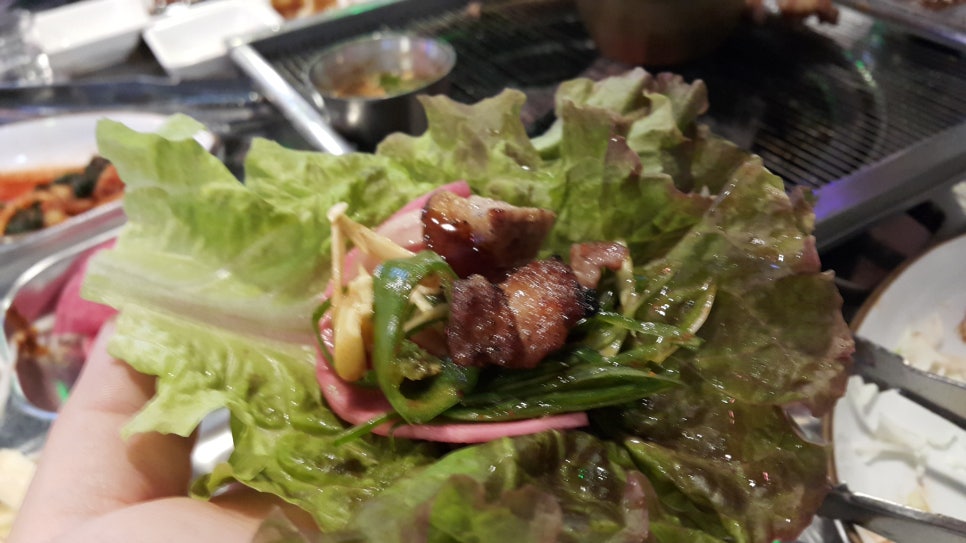 돼지새마을운동 이미지