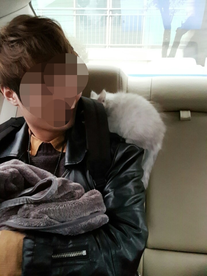 수미림 이미지