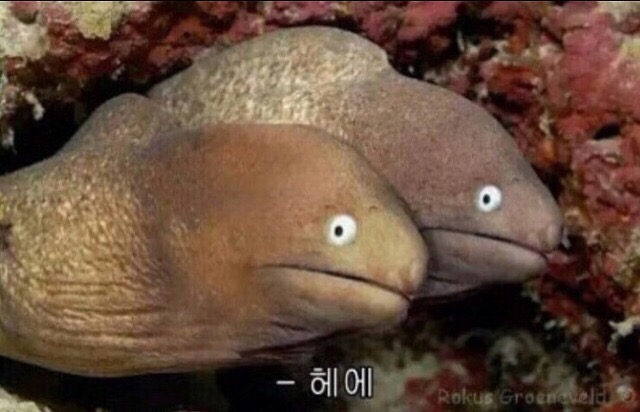 목포참숯불갈비 이미지