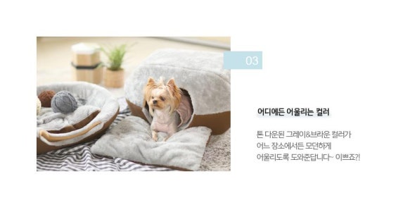 일루와 이미지