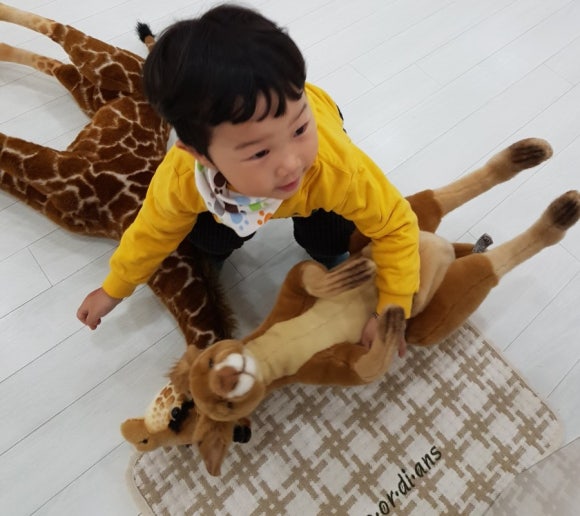 새싹상회 이미지