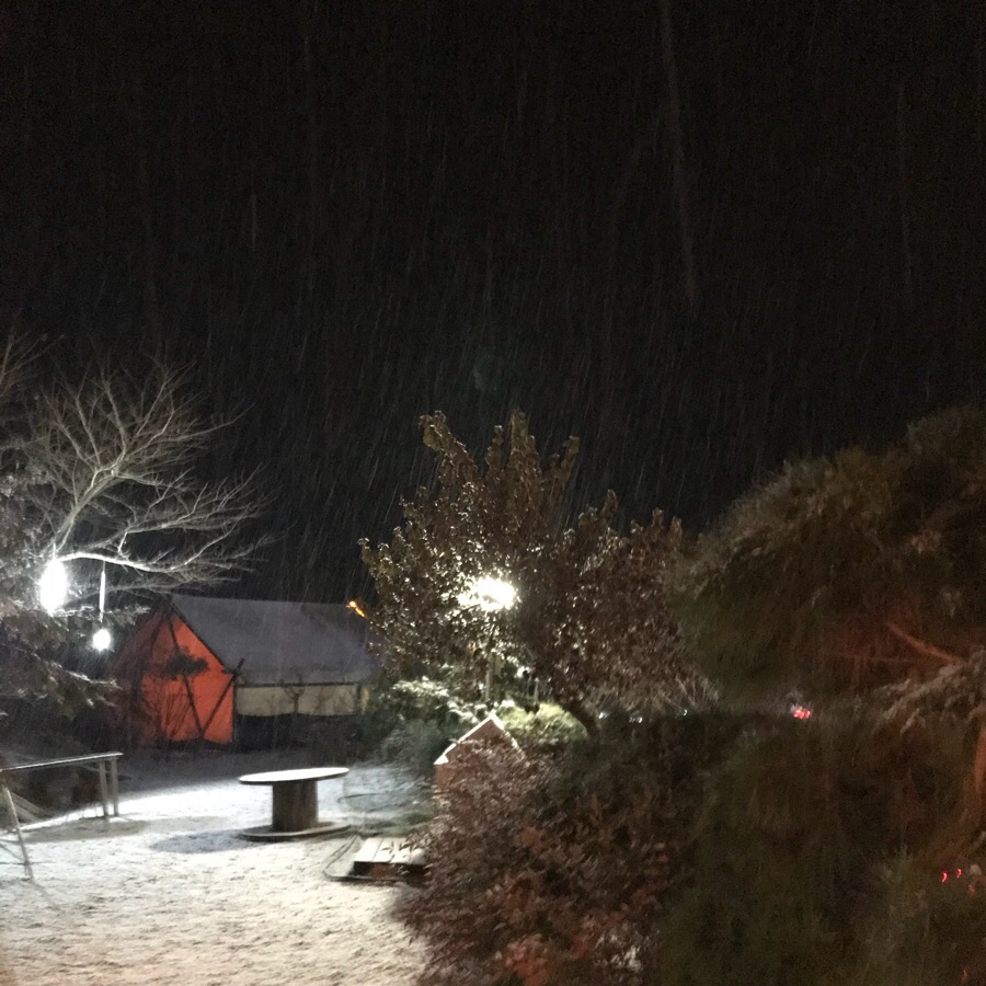 월성 산아래 글램핑 이미지