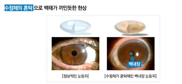 광제당한의원 이미지