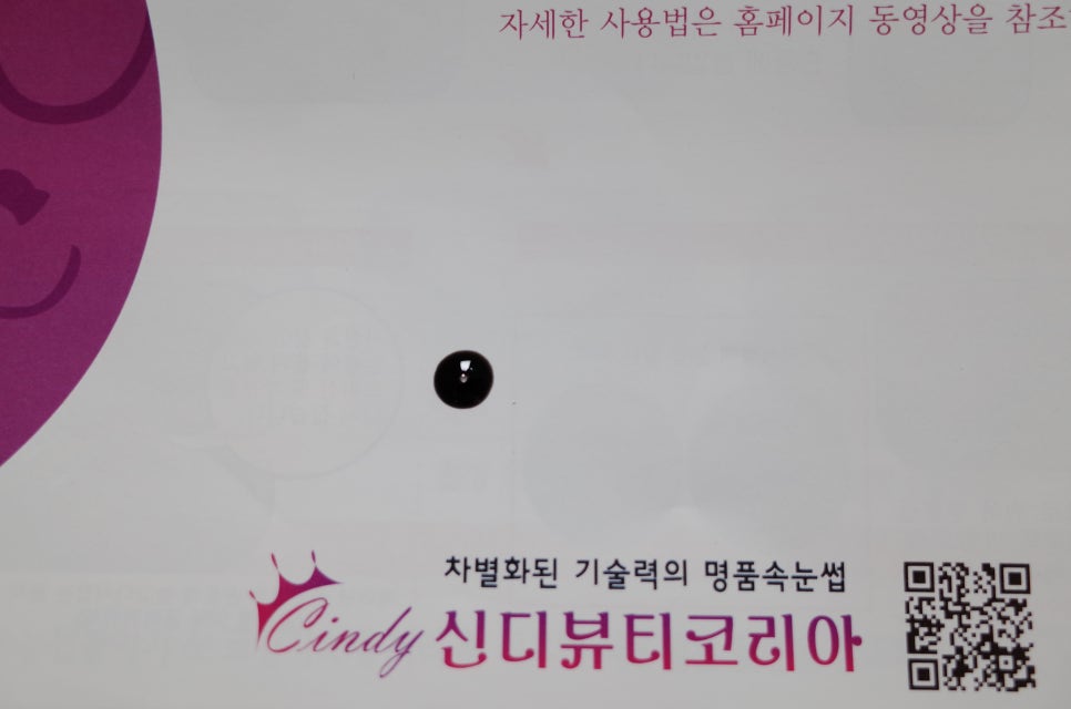 신디코리아 이미지