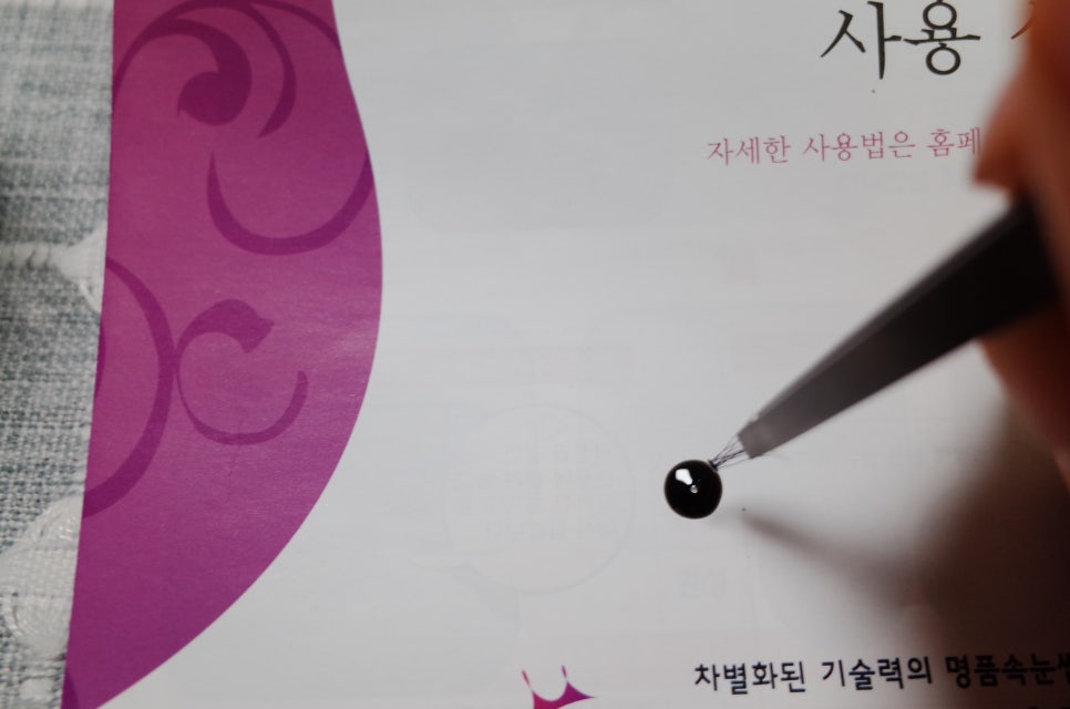 신디코리아 이미지