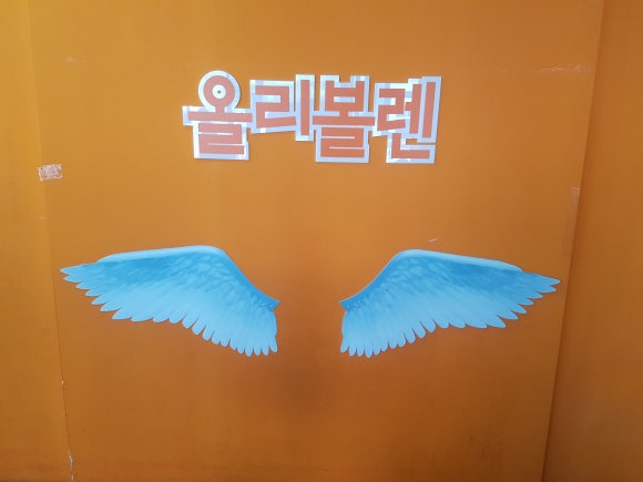 올리볼렌 이미지