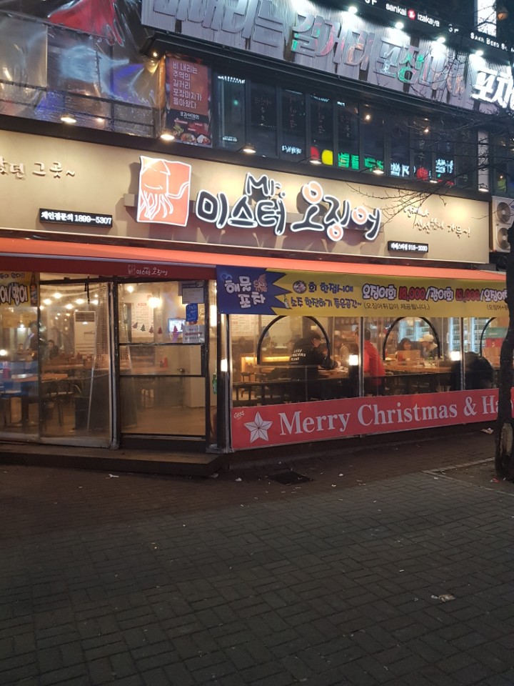 미스터오징어 이미지