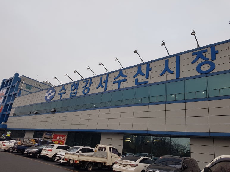 송어빙어낚시수산 이미지