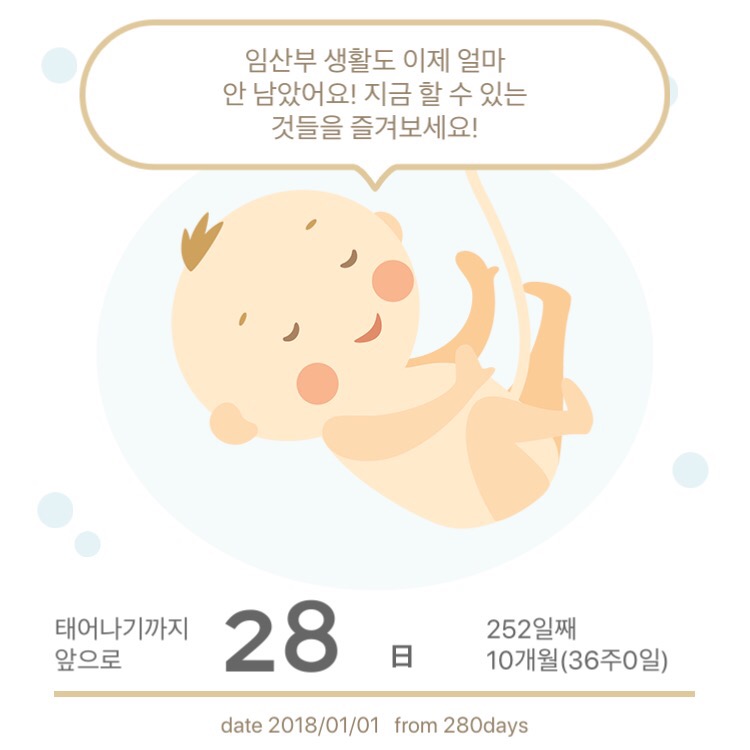 호랑이김밥 이미지