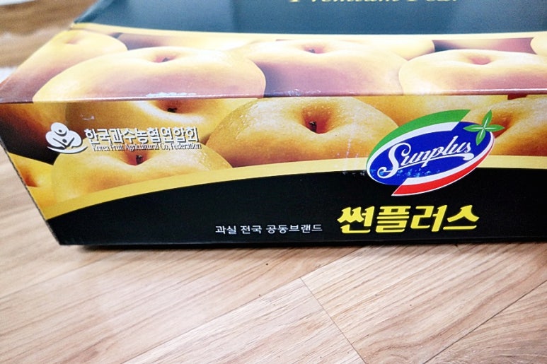 썬플러스 이미지