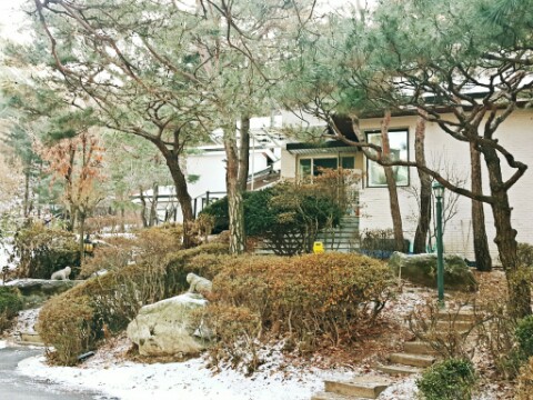 레이지가든 이미지
