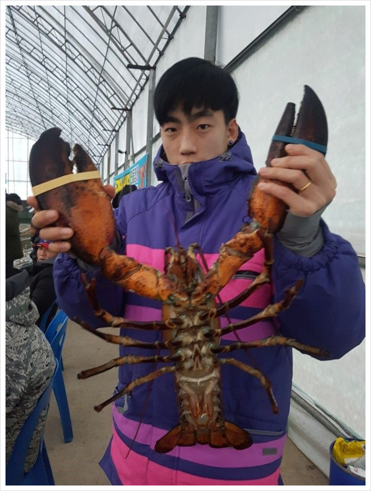 동교실내낚시터 이미지