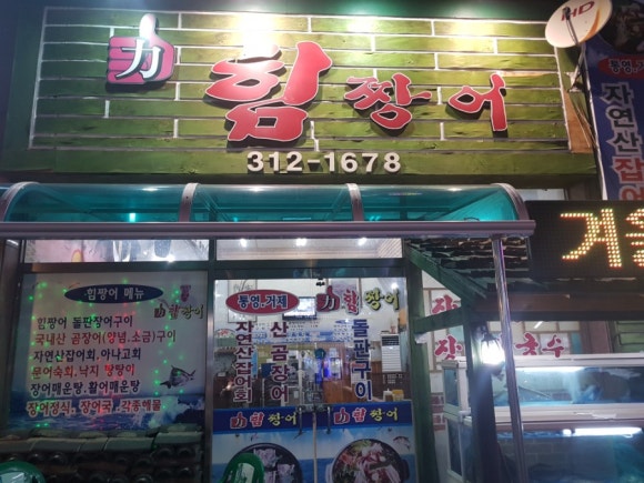 힘장어 이미지