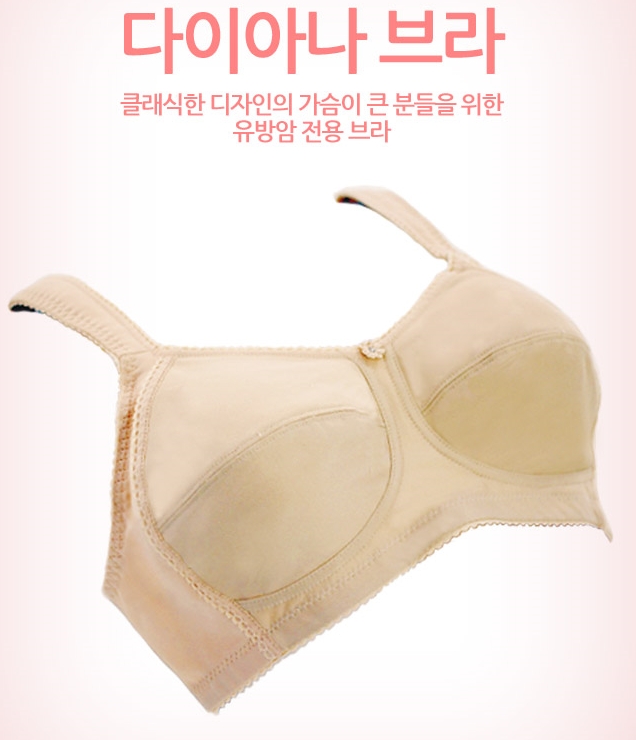 브라이브인 이미지