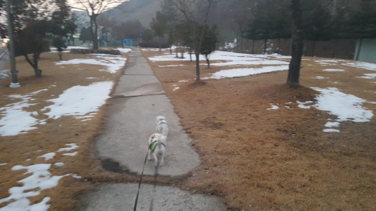 서산제일주유소 이미지