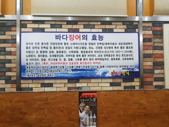 힘장어 이미지
