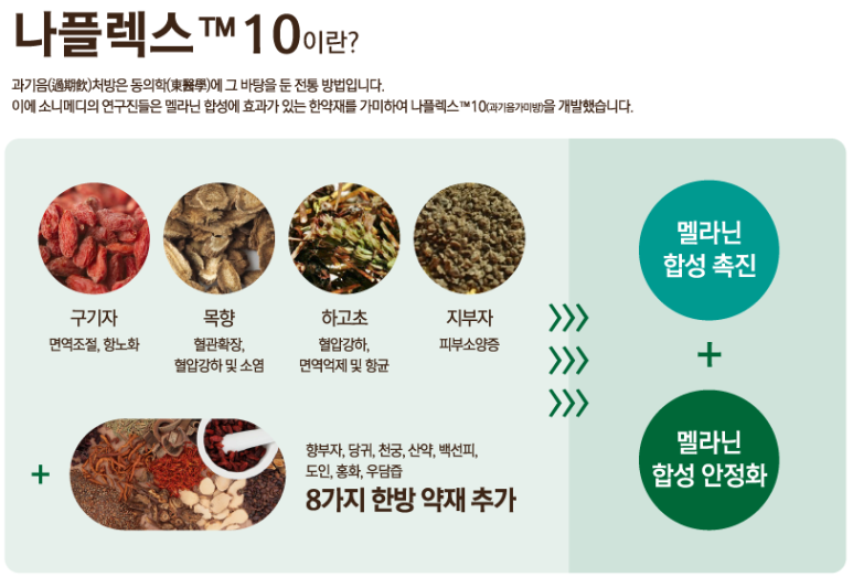 노마셀 이미지
