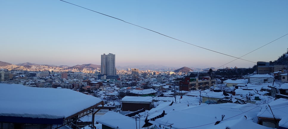 유달산빵 이미지
