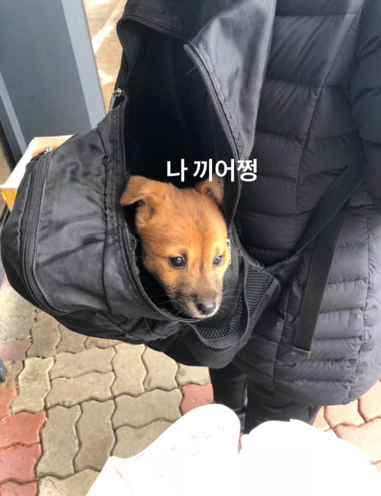 장수식육식당 이미지