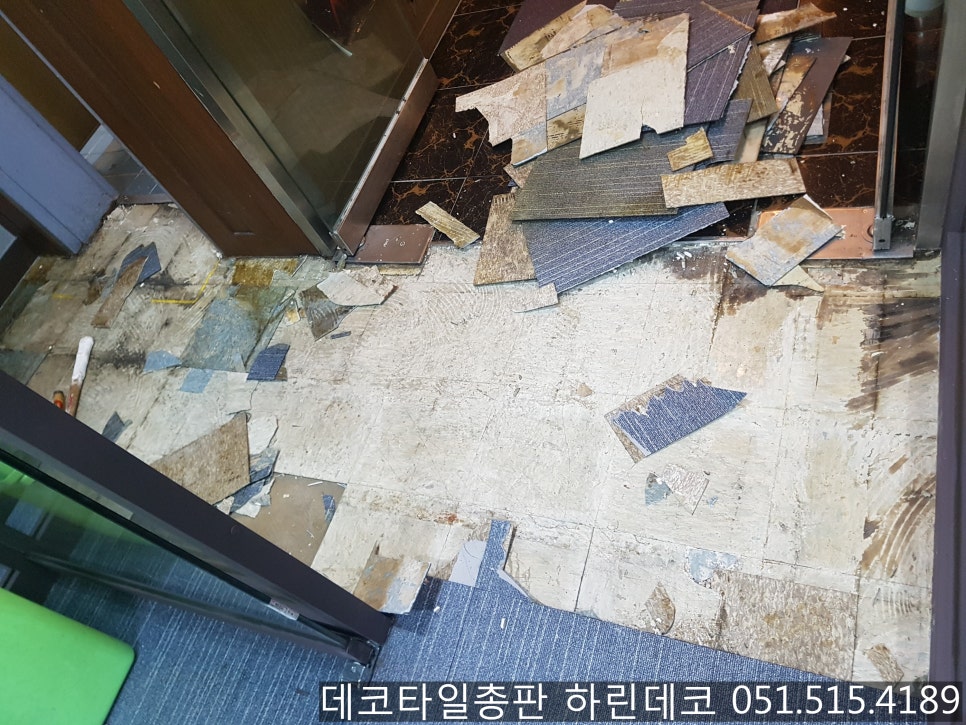 참당구장 이미지
