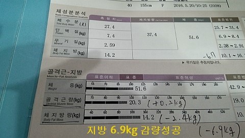 오오다이어트 이미지