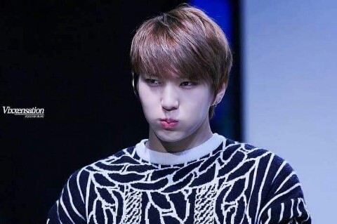 빅스아이 이미지
