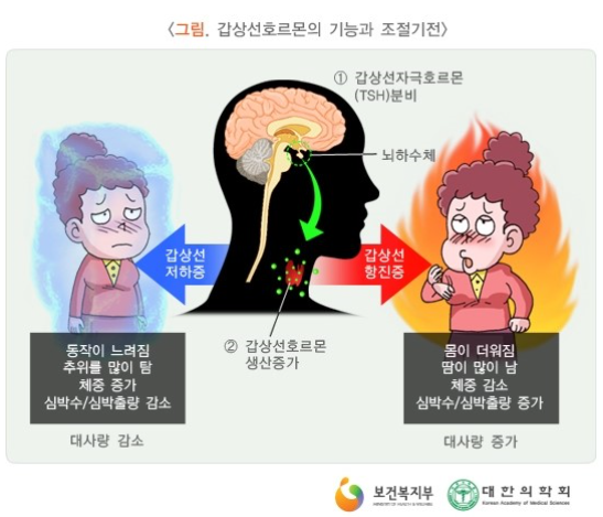 맘편한내과의원 이미지