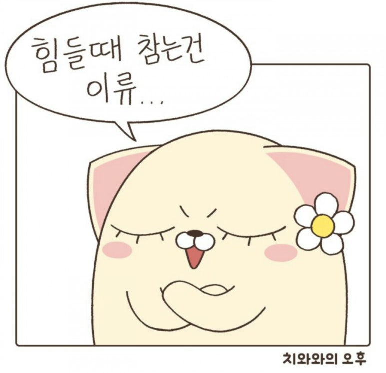 백년국수 이미지