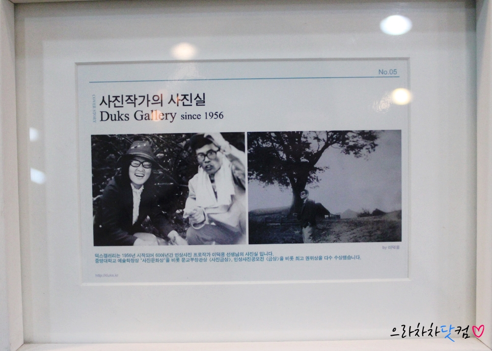 프로사진실 이미지