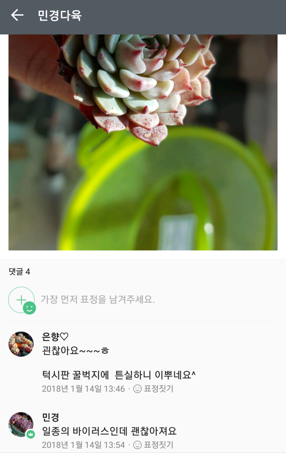 민경이네 다육 이미지