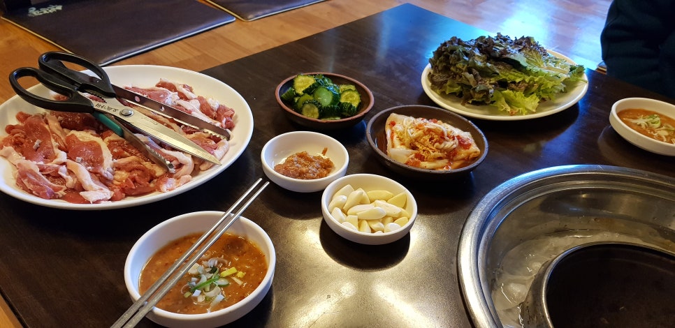낙동생오리 이미지