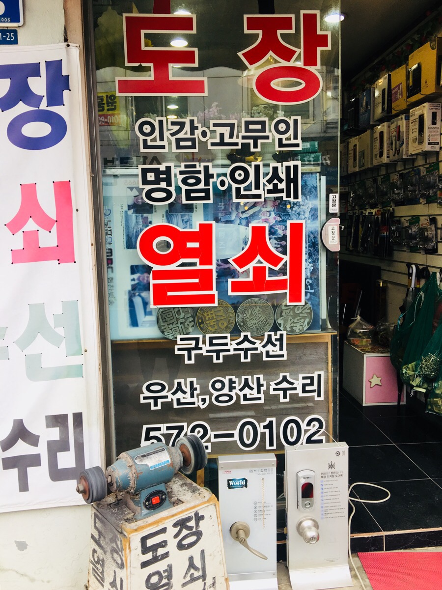 양지수선 이미지