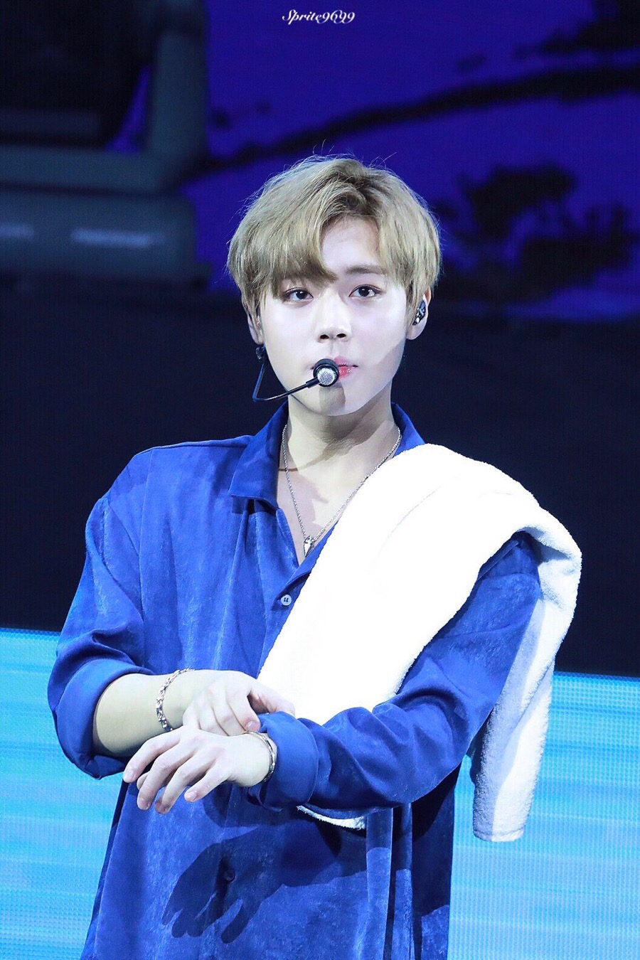 마카오박 이미지
