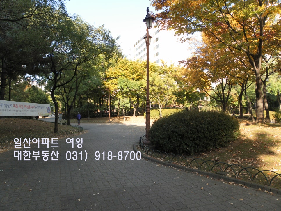 찌마을 이미지