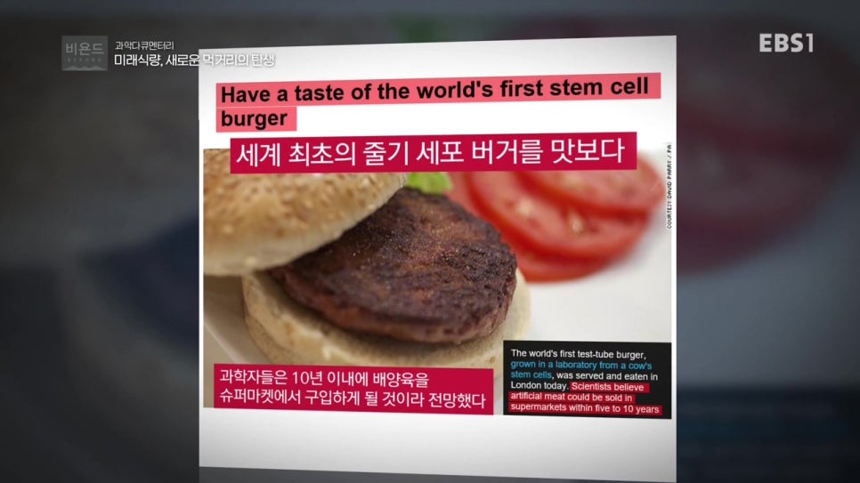 세포버거 이미지