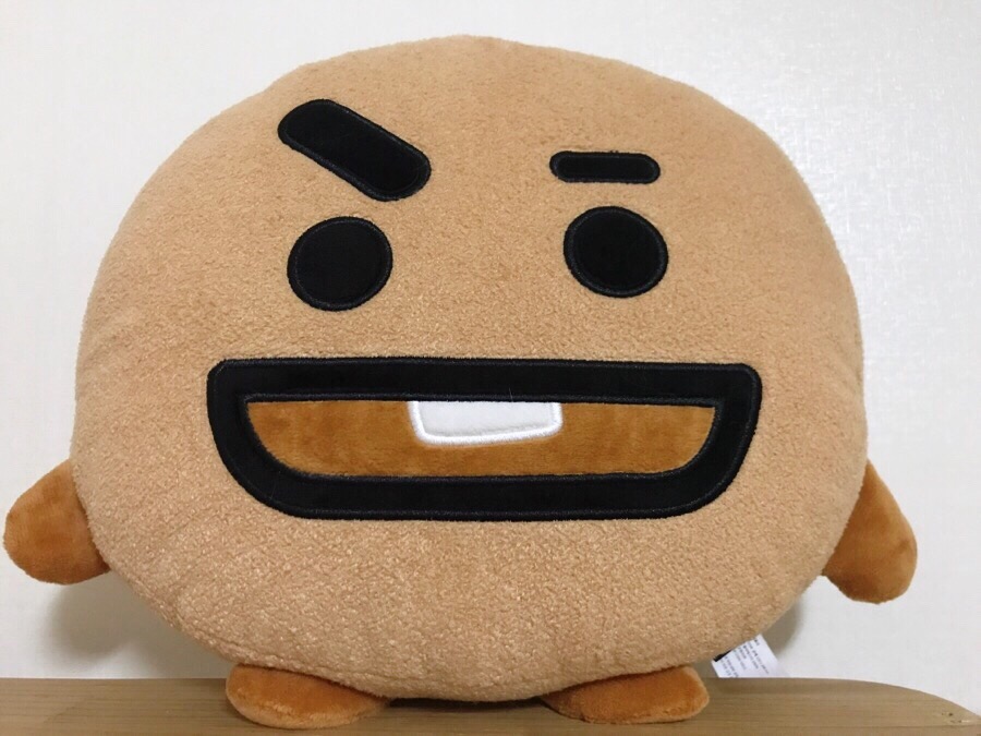 슈키 이미지