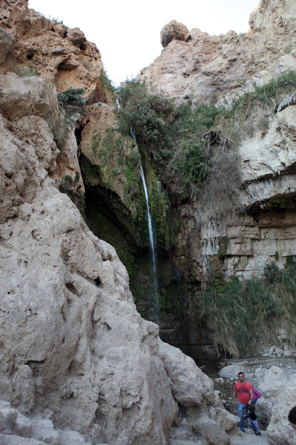 엔게디(Ein Gedi) 이미지