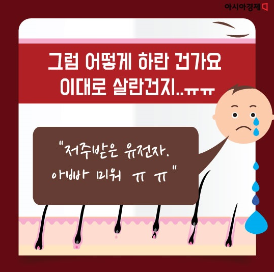 머리박사 이미지