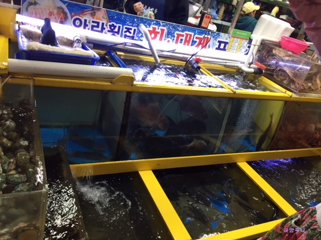 건어물아라 이미지