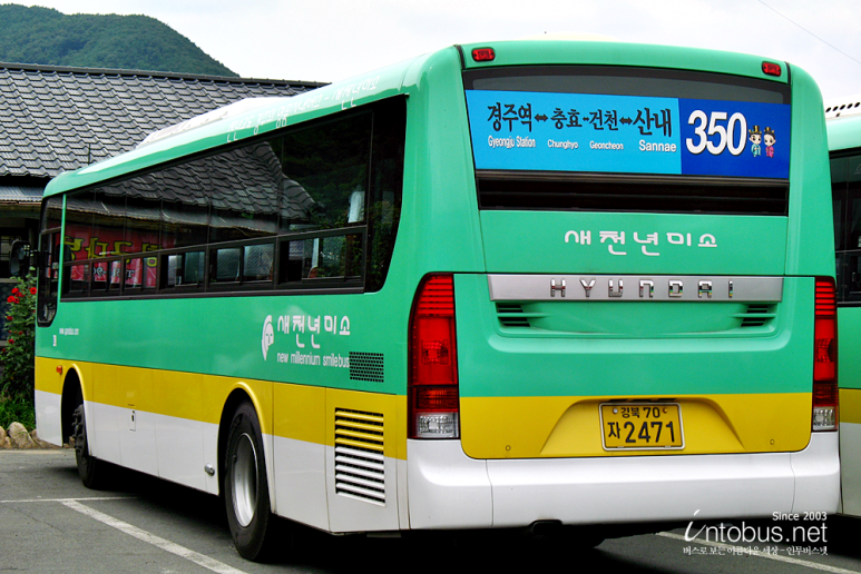 새천년운수 이미지