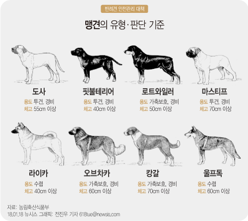 대한엘리베이터안전관리 이미지