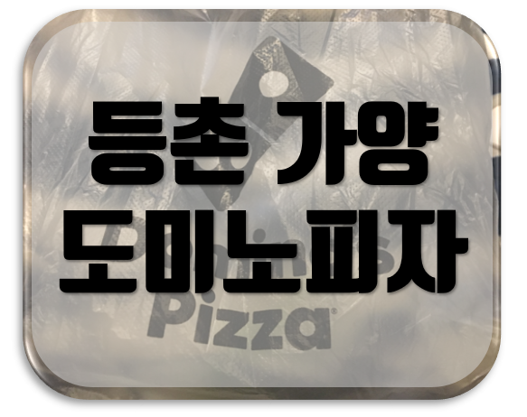 도미노피자등촌 이미지