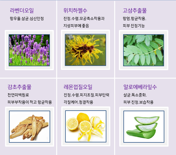 줄리스 이미지