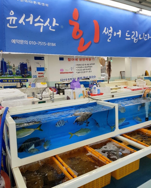 용원회센타 이미지