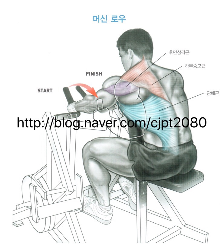 바디플러스휘트니스 이미지