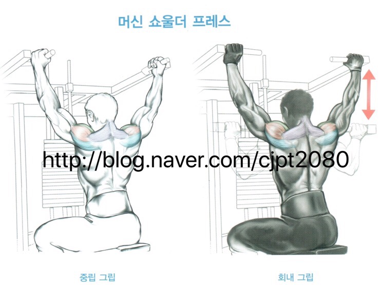 바디플러스휘트니스 이미지