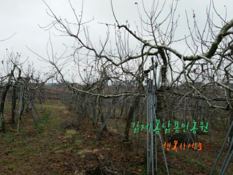 김제 용인농원 이미지