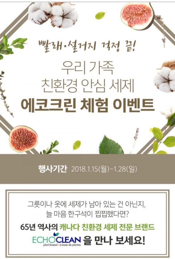 에코크린 이미지