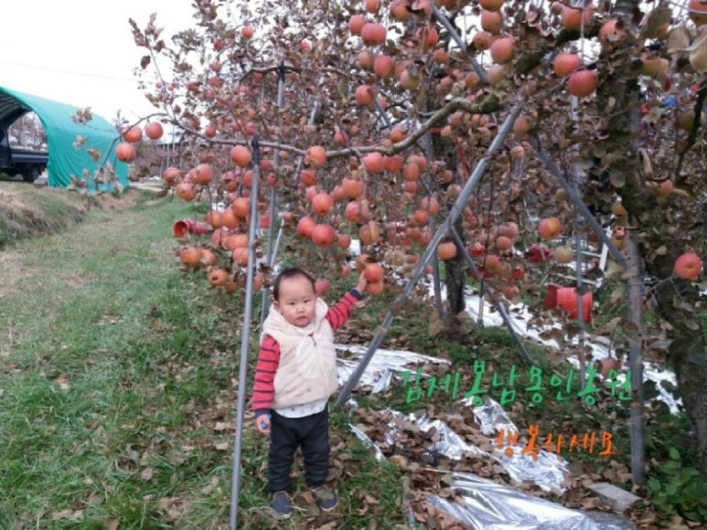 김제 용인농원 이미지